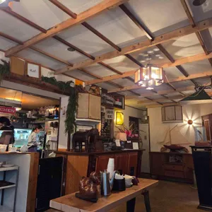 시노라 리뷰 사진