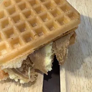 와플대학 대표 사진