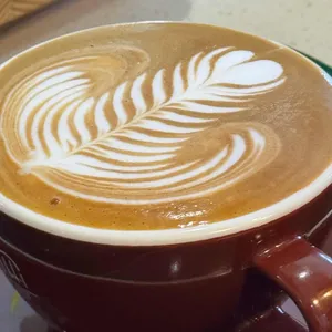 롤러코스트 사진 1