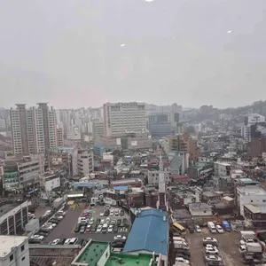 돈돈당 대표 사진