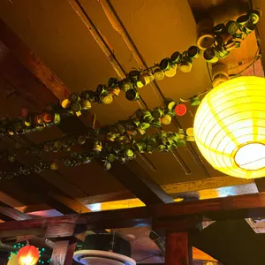 투다리 대표 사진