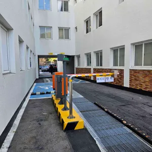 로씨니 리뷰 사진