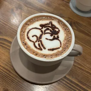 카페 모종 사진