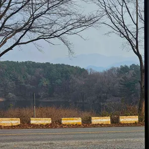 호수가에서 대표 사진