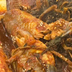 황금코다리 사진