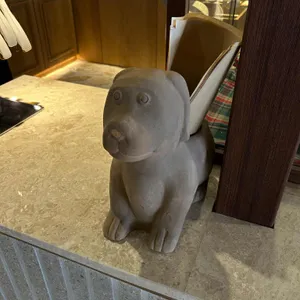 다대드라 리뷰 사진