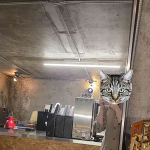 눈커피 리뷰 사진