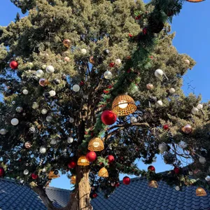 고매커피 리뷰 사진