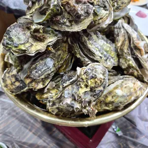 독도회수산 사진 1