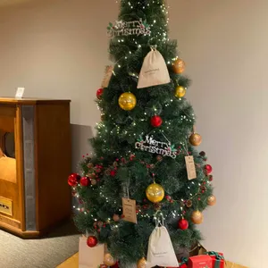 콤포타블 리뷰 사진