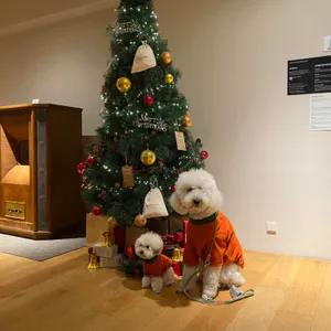 콤포타블 리뷰 사진