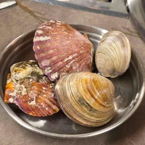 돌담숯불집 사진