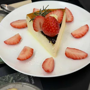 플라워인시멘트 사진 1