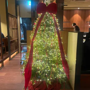 고메램 리뷰 사진