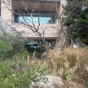 모모스커피 리뷰 사진