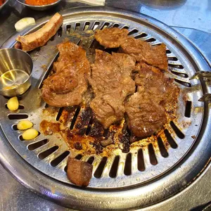 강남갈매기 사진