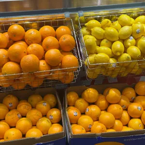 아메리칸트레일러 사진