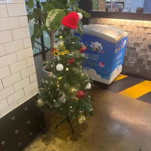 라라코스트 사진 1