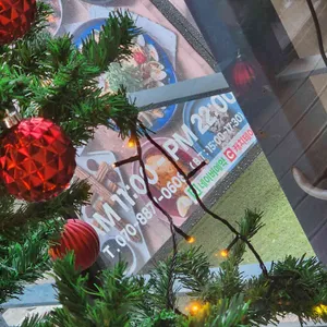 트라가 리뷰 사진