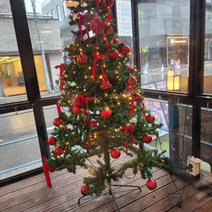 트라가 리뷰 사진