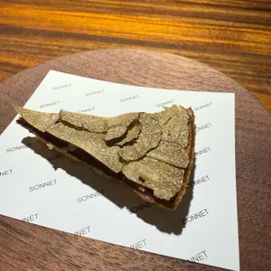 소넷 SONNET 사진