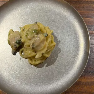 소넷 SONNET 사진