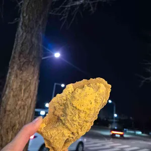 중앙공원쌀잉어빵 사진