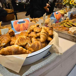 테디뵈르하우스 사진