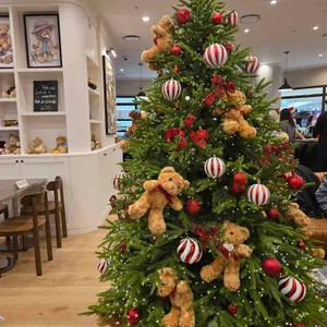 테디뵈르하우스 리뷰 사진