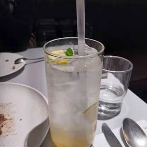 바리에가타 사진