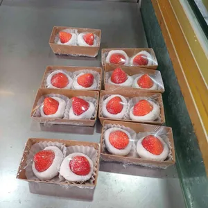 백년손님 대표 사진