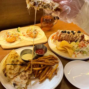 코지 대표 사진