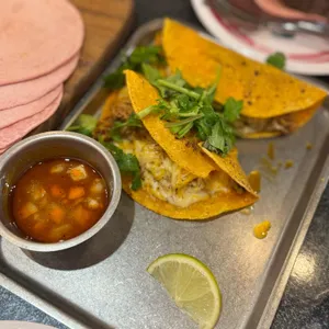 더타코부스 사진