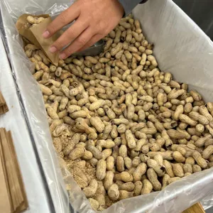 파이브가이즈 사진