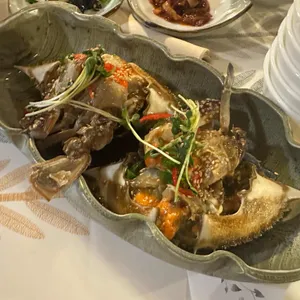 국화정원 사진 1