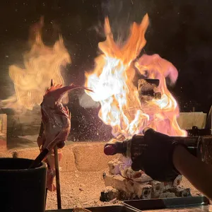 타츠 로바타쇼 사진