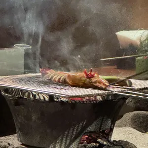 타츠 로바타쇼 사진