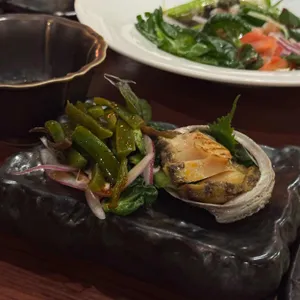 타츠 로바타쇼 사진