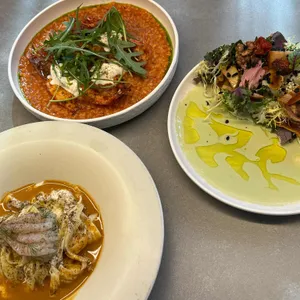 바리에가타 사진