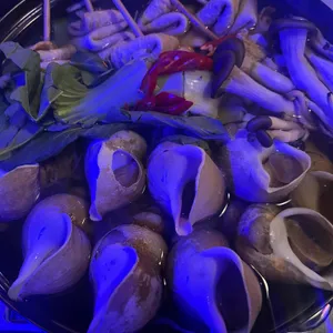 전주술집 대표 사진