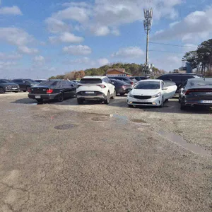 만두요리가되다 리뷰 사진