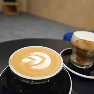 콜프로스터스 사진 1