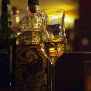 퍼펙트데이즈 사진