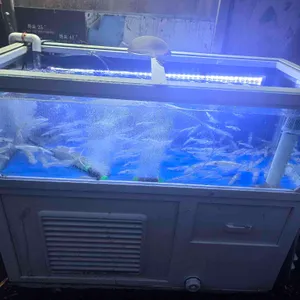 굴따러가세 리뷰 사진