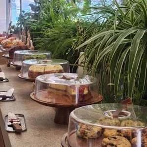 파이인더샵 리뷰 사진