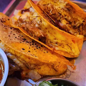 더타코부스 사진