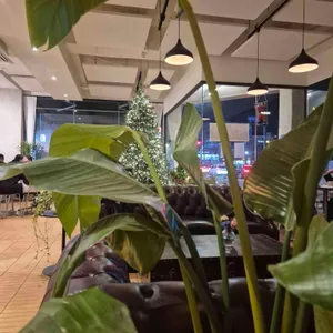 샬로우커피 리뷰 사진