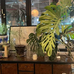 자유공원 리뷰 사진