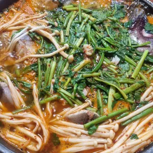 명품생태집 사진