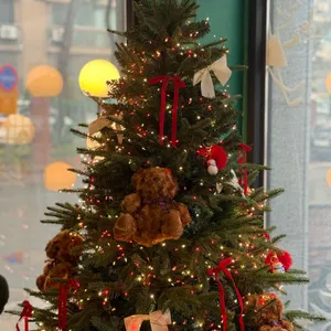 카페리유 리뷰 사진